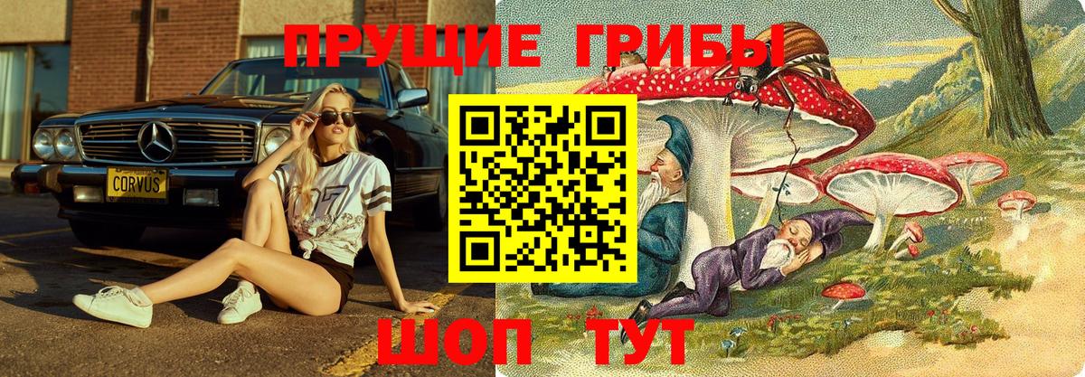 Галлюциногенные грибы Magic Shrooms  Вход с VPN  закладка  Искитим 